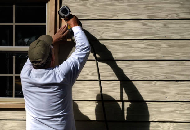 Best Insulated Siding Installation  in Lincolnshire, IL